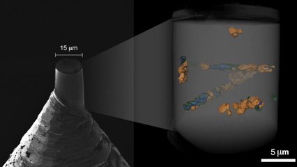 Unveiling billion-year old fossils with X-ray vision