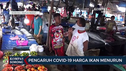 Pengaruh Covid-19 Harga Ikan Menurun