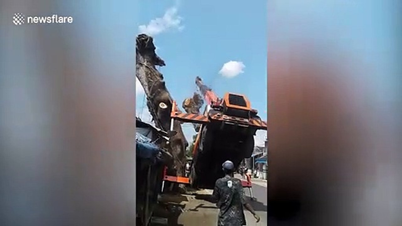 Truck-mounted crane topples over while felling tree in Indonesia