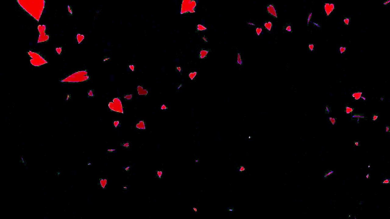 15)Music.  Basse. Country &  folk. Optimiste . Empty Hearted Man. The 126ers