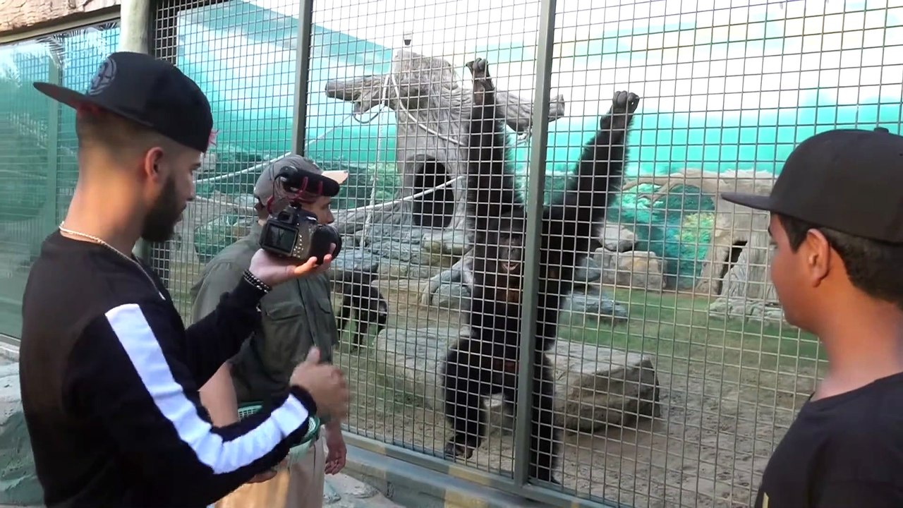 Crocodile Prank Gone Wrong w_ Silento & Adam Saleh