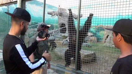 Crocodile Prank Gone Wrong w_ Silento & Adam Saleh