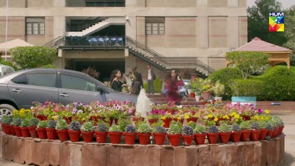 Soteli Maamta Episode 79 HUM TV Drama 4 June 2020