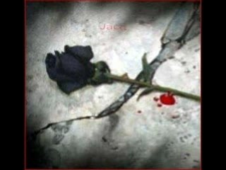 J'aurais voulu entendre ta voix