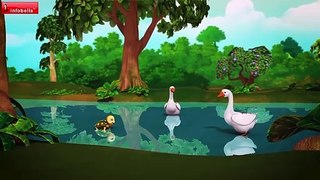 कछुआ और हंस The Tortoise and the Geese Moral Story - Hindi Stories for Kids - Infobells