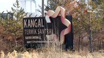 Kangal Termik Santrali 6 ay sonra yeniden tam kapasite olarak üretime başladı