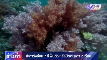 ข่าวค่ำ ช่วงที่ 5 วันพฤหัสบดีที่ 4 มิถุนายน 2563