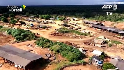 Projeto de lei pode aumentar desmatamento na Amazônia