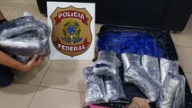 POLÍCIA FEDERAL REALIZA APREENSÃO DE DROGAS NO AEROPORTO INTERNACIONAL DOS GUARARAPES