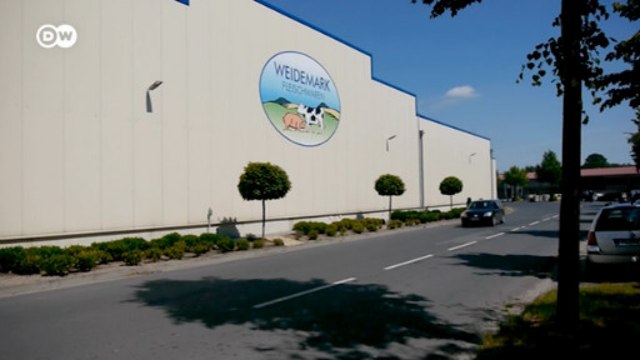 Рабы из Восточной Европы: Берлин хочет запретить эксплуатацию на немецких скотобойнях (03.06.2020)