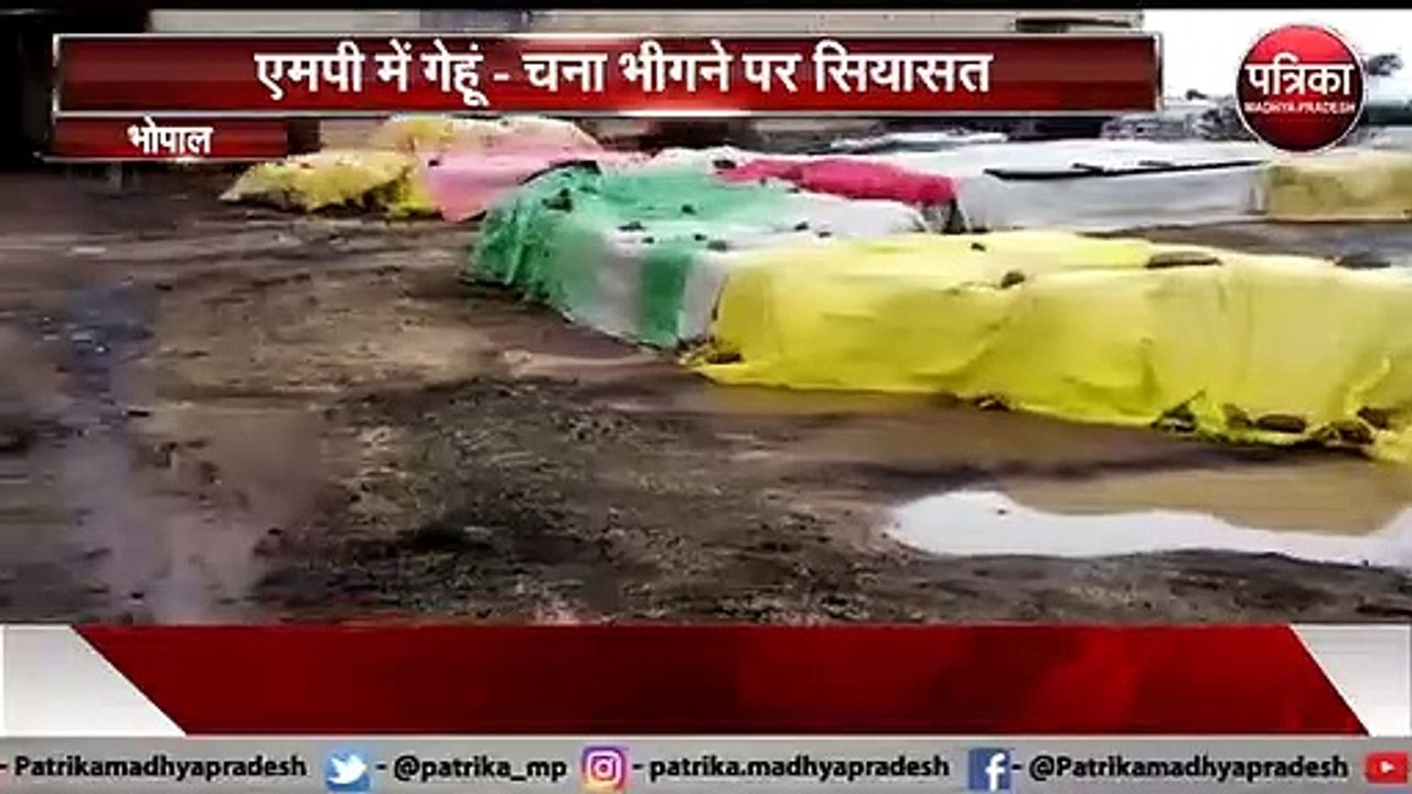 गेहूं - चना भीगने पर सियासत, सरकार के बचाव में आये मंत्री कमल पटेल