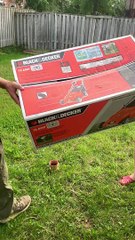 Cute Raccoon Found Sleeping in a Box inside of a Shed