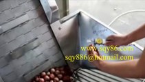 Special Designed Automatic Red Shallots Purple Onions Small Onions Skin Peeling and Removing Machinery Equipment