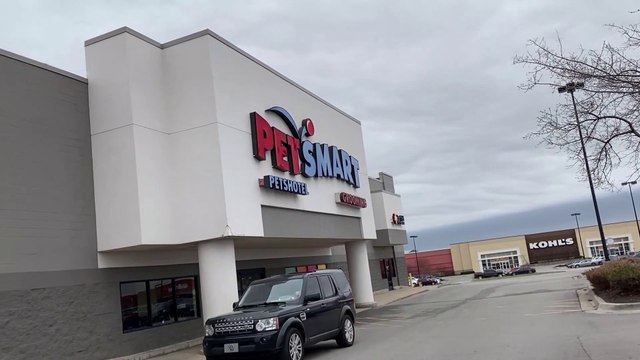 అమెరికా లో పెంపుడు జంతువుల దుకాణం లోపల ఏమి ఉంటాయి? || Petco store In USA || Telugu Vlogs from USA