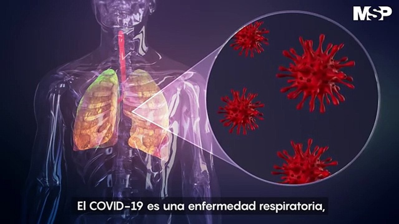 Así ataca el #coronavirus al cuerpo humano