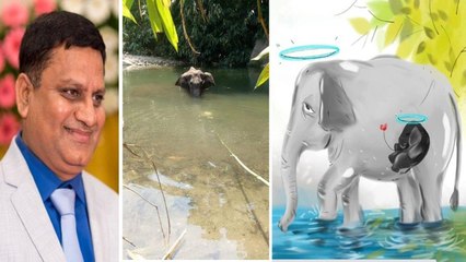 #Elephant : Hyderabad Man Announced Rs 2. Lakh Reward Who Gives Info On Incident