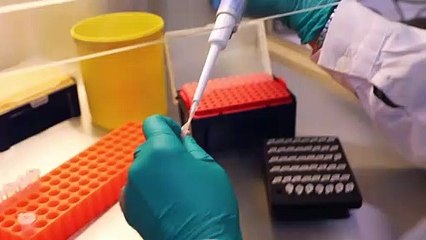 CORONAVIRUS: así es el test PCR que dice si das positivo o negativo