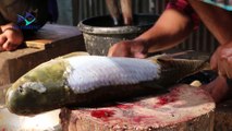 Big Mrigel Fish Fillet by Knife Fish Fillet With-Super Fast Primitive Way Fish Cutting Works