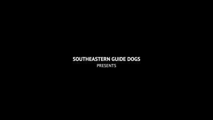 Inspirational dog short cartoon