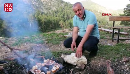 Dr. Orhan Delice: Doğadaki 5 bin mantardan 100'ü zehirli