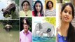 Famous Personalities Reaction On Kerala Elephant Tragic Incident