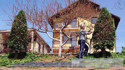 emHOME - Zlatna tuja trim 2020