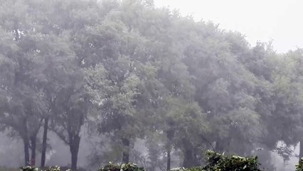 शाजापुर में प्री मानसून ने दी दस्तक
