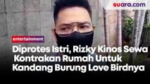 Diprotes Istri, Rizky Kinos Ngontrak Rumah untuk Kandang Burung Love Birdnya