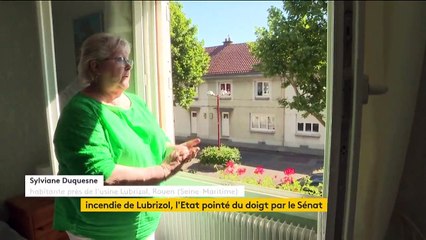 Lubrizol : l’État pointé du doigt par le Sénat