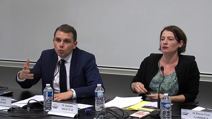 « Le contrôle de constitutionnalité des lois électorales : regard croisé France – Italie », Julien Bonnet et Jordane Arlettaz, professeurs CERCOP, @IMH - Journée décentralisée de l’AFDC - Représentation et gouvernement, quels modèles électoraux ?