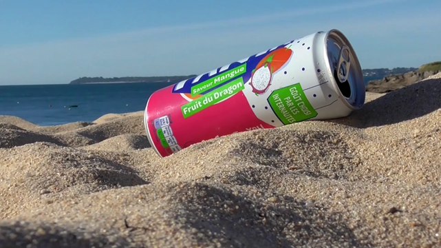 2020 Clean Walk avec Youth For Climate Ploemeur - Plage du Pérello * Trigone Production