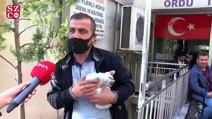 Üsküdar'da dernek önünde kedi maması tartışması