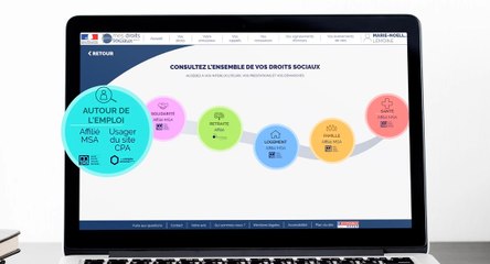 PNDS La bulle Emploi