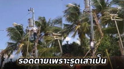 นาทีระทึก !! ช่างไฟปีนเสาไฟฟ้า บันไดหักกลาง หวิดร่วง.. โชคดีรอดเพราะสกิลรูดเสา