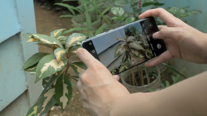 Professional Filmmaking Techniques You Can Try At Home