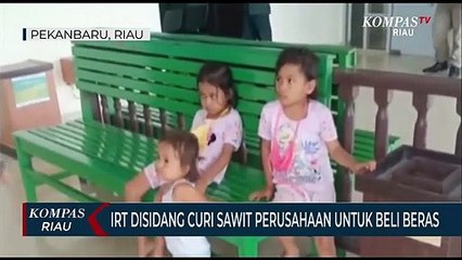 IRT Disidang Curi Sawit Perusahaan Untuk Beli Beras