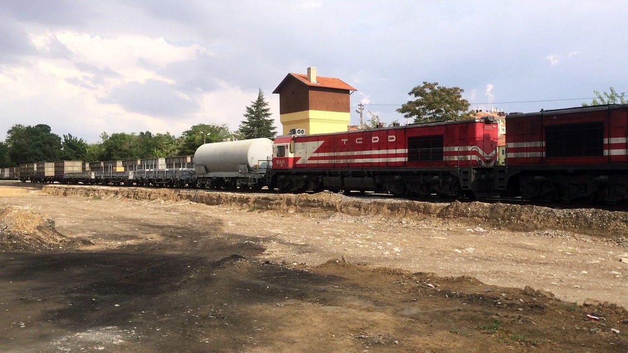 Kükreyen aslan ilk defa bu kadar sessiz kaldı tren yatıyor