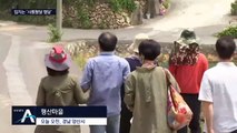 대통령 사저 부지는 ‘명당’…“외지인이 탐내도 못 산다”