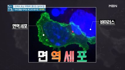 우리 몸을 지키는 최고의 파수꾼 "OOO"