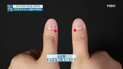 혈액 정화에 도움 주는 혈 자리는 바로…!?