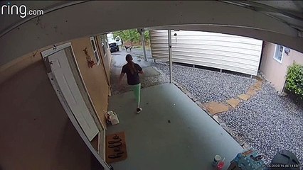 Great Dane Chases Delivery Man