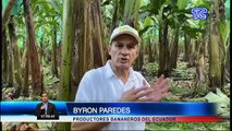 Productores donan  bananos a distintas provincias para personas más necesitadas