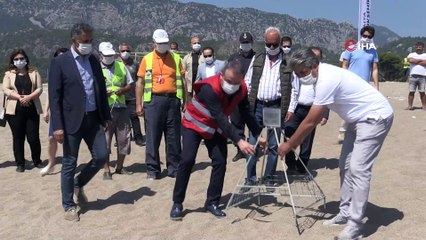Antalya'da  deniz kaplumbağalarının yuvalama alanını koruma altına alındı