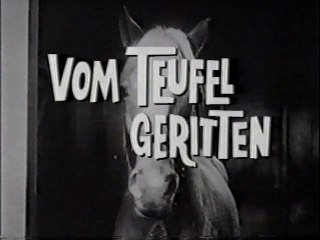 Mr. Ed - 103. Vom Teufel geritten