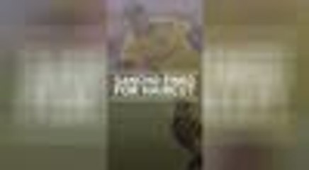 Breaking News - Sancho fined for haircut