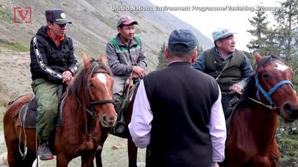 Environmental Group Released Video of Snow Leopard to Highlight Conflict Between Animals & Humans