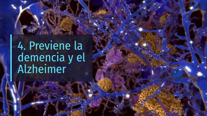 8 propiedades y beneficios del ajo