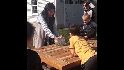 Remise en liberté d'un papillon... qui ne se passe pas comme prévu