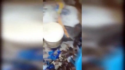 Cette famille chinoise vie dans une maison infestée de cafards