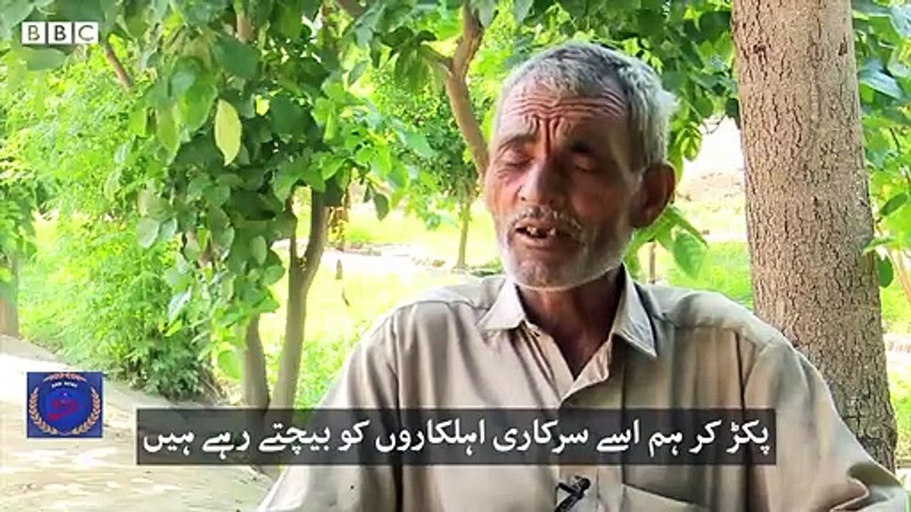 How to Make Money with Locust | Golden Chance for Jobless Peoples | Tiddi Pakro Note Banao | BNN